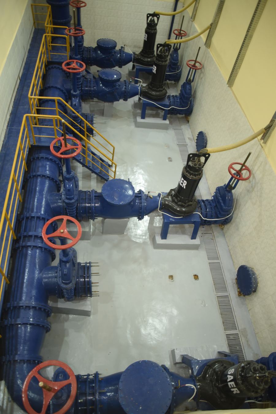 Suction and discharge valves